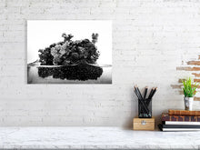 Load image into Gallery viewer, 4099837-973958