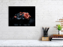 Load image into Gallery viewer, 4099827-973954