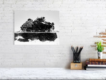 Load image into Gallery viewer, 4099813-973945