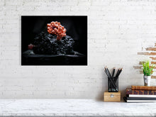 Load image into Gallery viewer, 4099825-973953