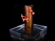 Load image into Gallery viewer, Print Art Photography "Reincarnation" Limited Edition O-4