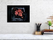 Load image into Gallery viewer, 4099822-973952